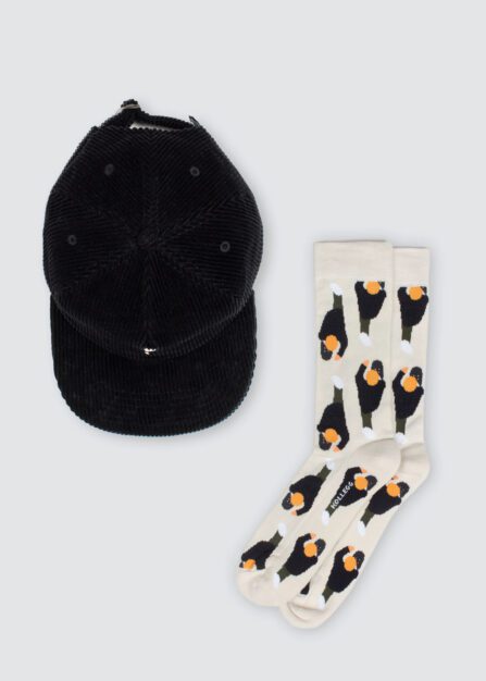 Skateboard Combo